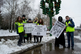 Студенты ФЭиУ приняли участие в акции «Зебролюбы против зеброфобов»