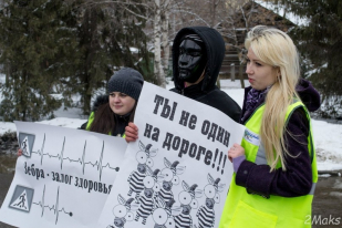 Студенты ФЭиУ приняли участие в акции «Зебролюбы против зеброфобов»