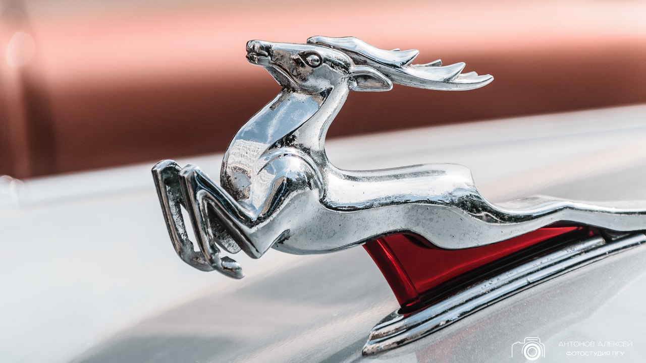 Выставка ретро автомобилей в ПГУ