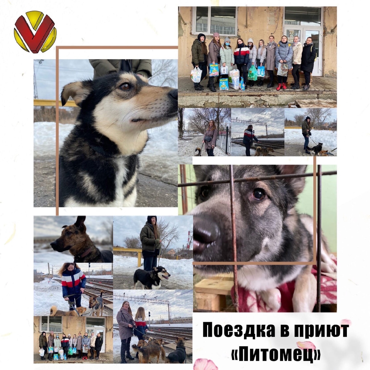 Волонтеры ПГУ отправились в центр по работе с бездомными животными «Питомец» – фонд «Рука помощи бездомным животным»